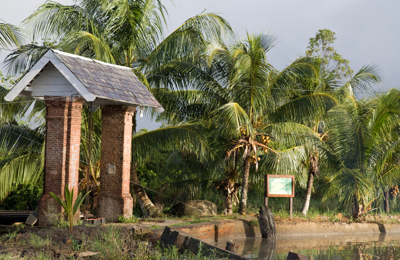 Suriname, plantation.